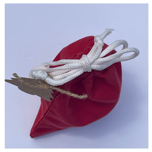 Load image into Gallery viewer, SM5 Holiday Gift Bag: Mini Candle &amp; Soap Combo
